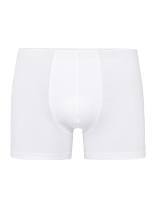 Pant Cotton Superior White